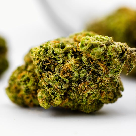 Dank By Definition - CHEESECAKE - 1