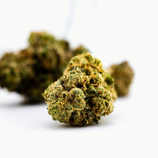 Dank By Definition - MENDO BREATH - 1