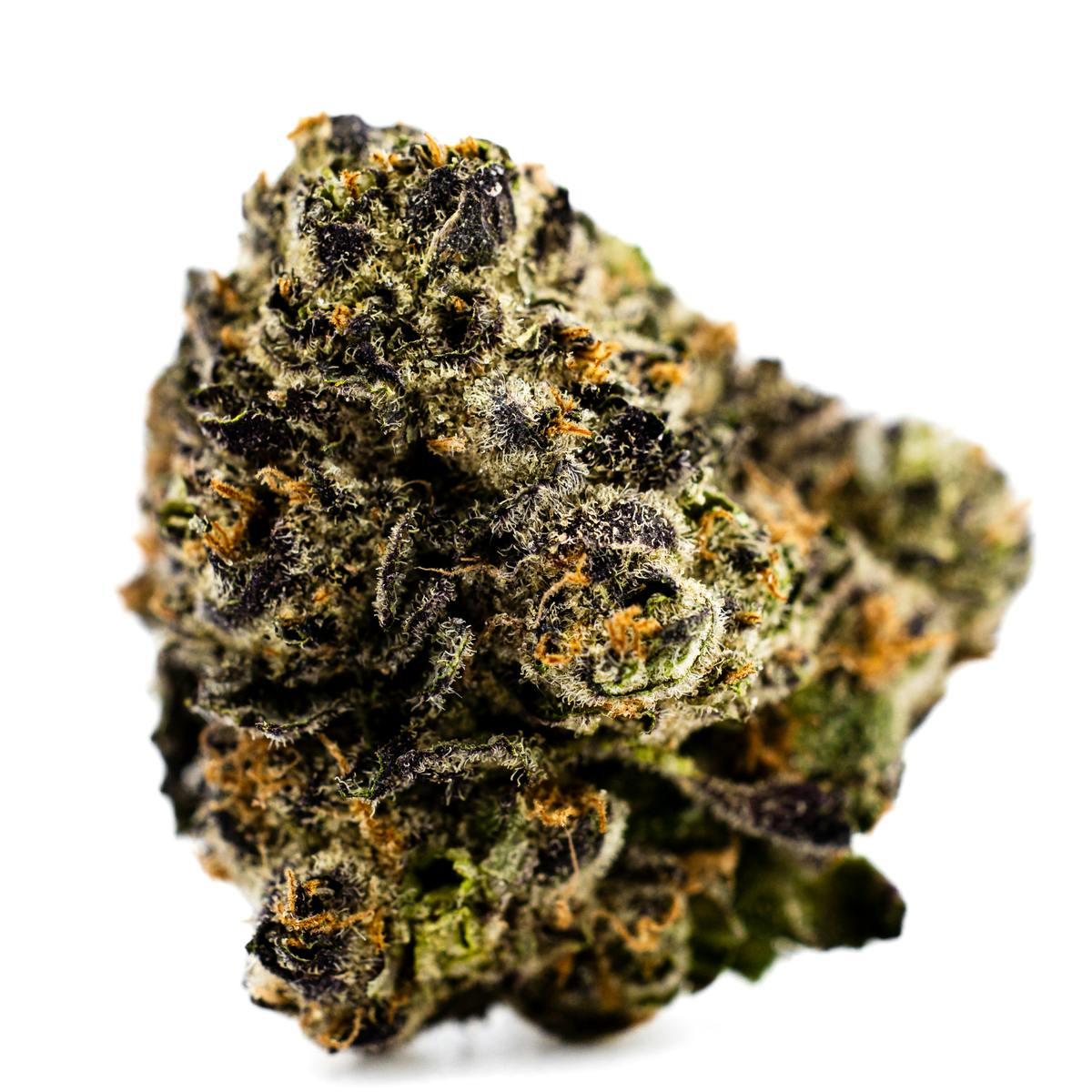 Dank By Definition - PURPLE PANTY DROPPER - 1
