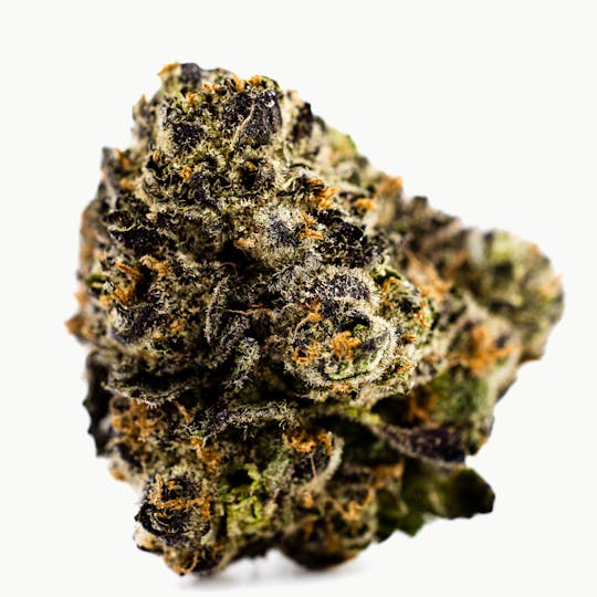 Dank By Definition - PURPLE PANTY DROPPER - 1