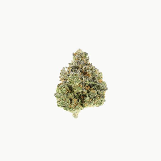 UpNorth - Florida Oranges - 1g Pre-roll - 1