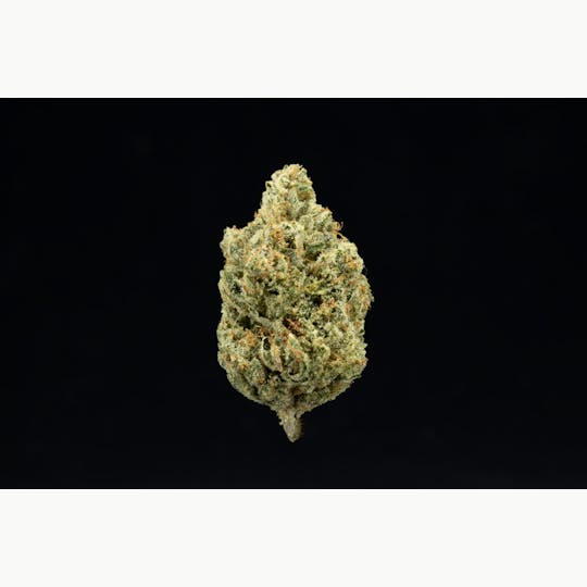 UpNorth - Headband - 1g Pre-roll - 1