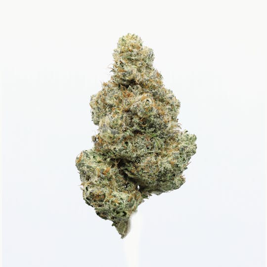 UpNorth - Lemon Biscotti - 3.5g - 1