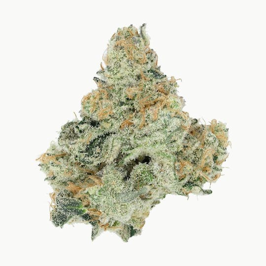 Green Truck - Flower - Terpee Slurpee - 3.5g - 1