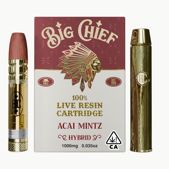 Big Chief - Acai Mintz - 100% Live Resin 1G Cartridge & Battery Kit All-In-One - 1
