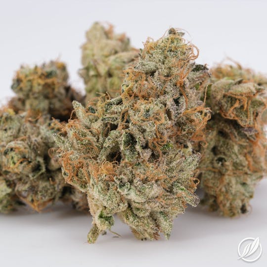 CTPharma - Cold White Kush (Biscochen) Flower 3.5g - 1