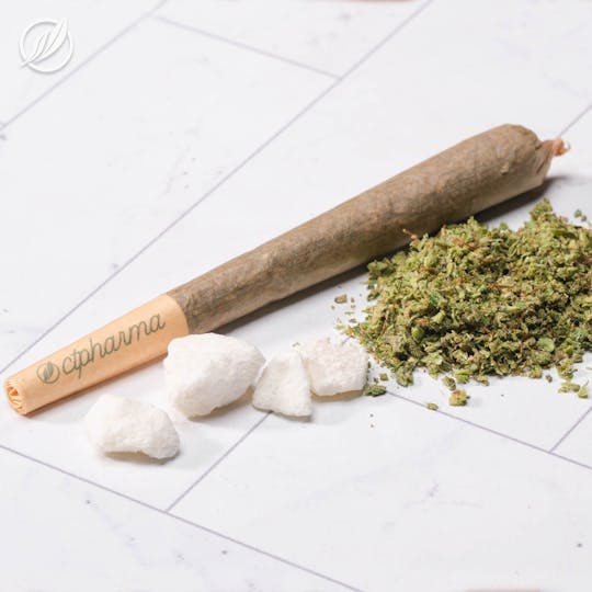 CTPharma - Sunny Stomper (Oranzadex) Pre-Roll 1g - 1