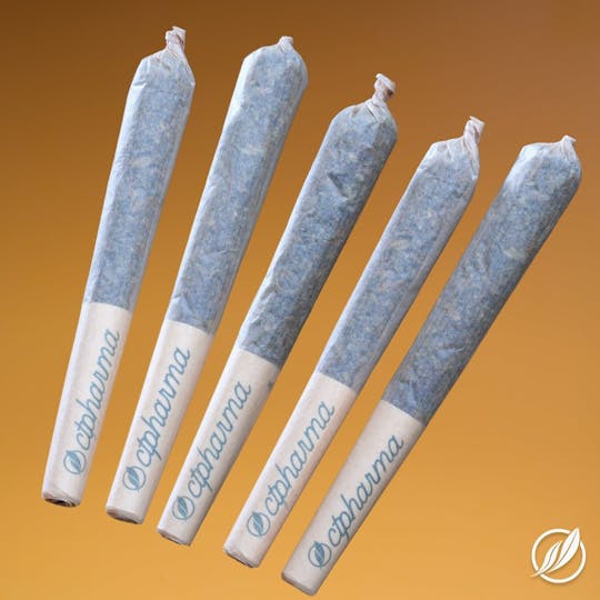 CTPharma - Cold White Kush (Biscochen) Shorties 2g - 1