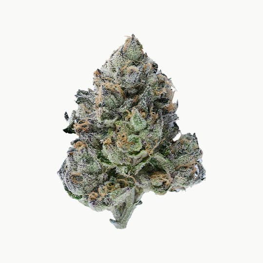 Green Truck - Flower - Pink Ritz - 7g - 1