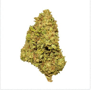 Smoakland - Smoakland Black | Rainbow Belts | Big Buds | 14g - 1