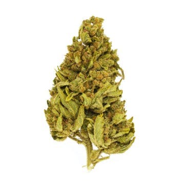 Smoakland - Smoakland Xclusivez | Tutti Frutti | Big Buds | 28g - 1