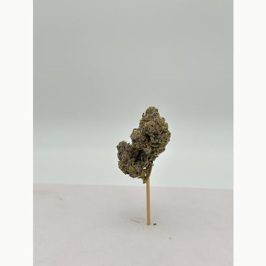 Lowski - Hardball Purps - 1