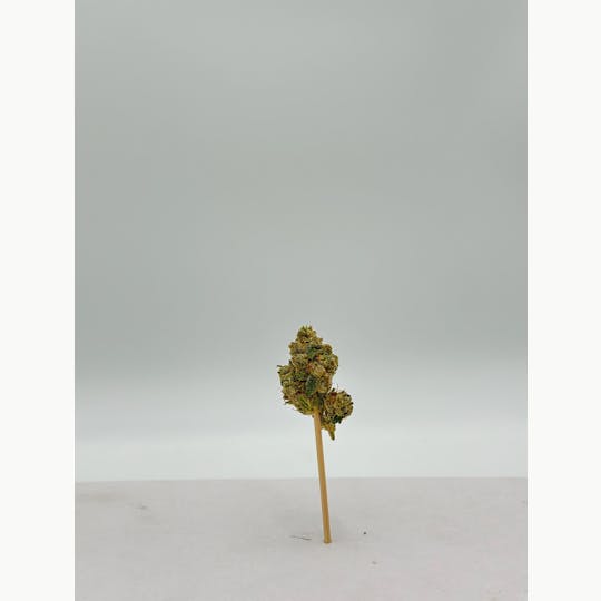 Lowski - SFV OG - 1