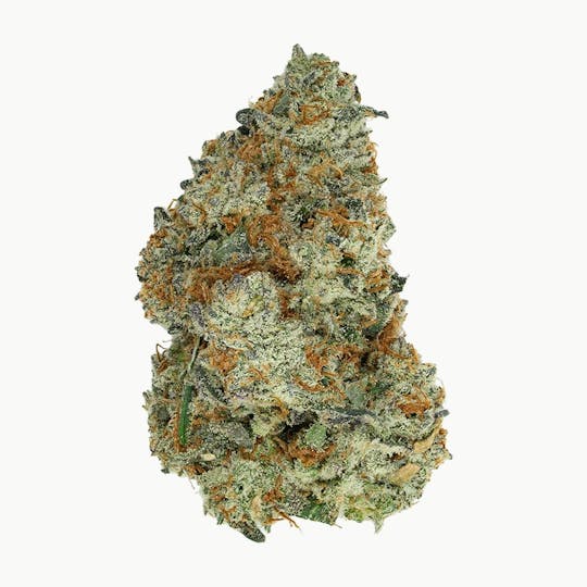 Green Truck - Flower - Gold Cash Gold - 3.5g - 1