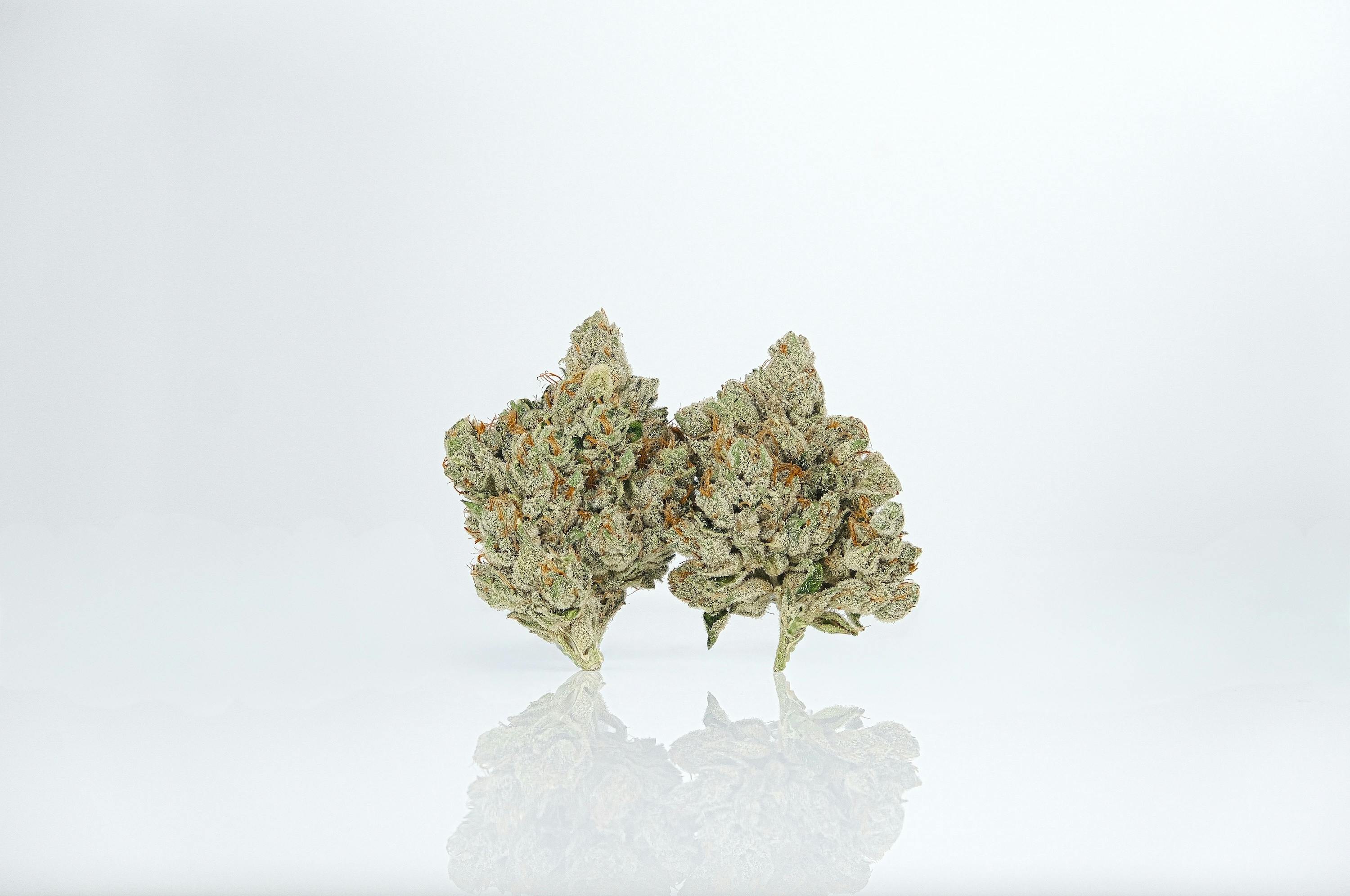 LAX PACKS - LAX PACKS Red eye OG 14G INDOOR FLOWER - 1