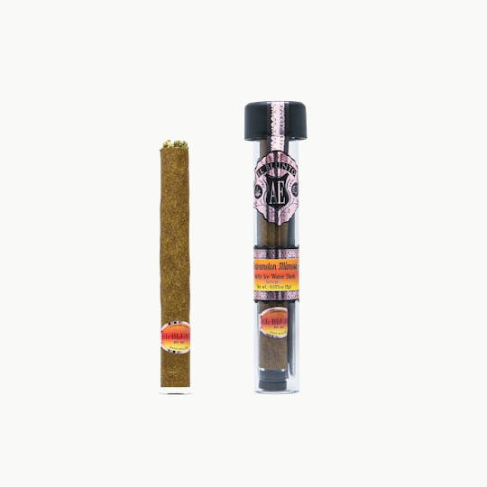 El Blunto by Albert Einstone's - El Blunto - Watermelon Mimosa - 2G Cannabis Cigar - Hash Infused - 1