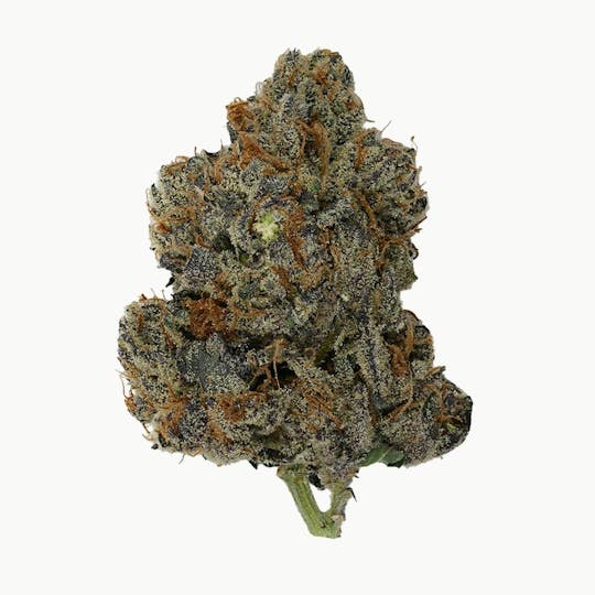 Green Truck - Flower - Sherb Dawg - 3.5g - 1