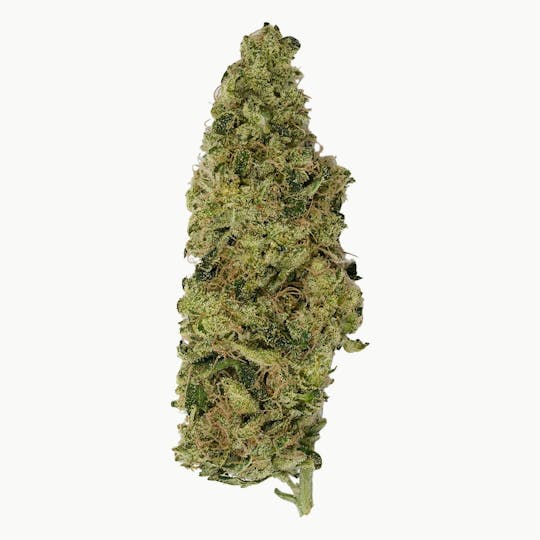 Green Truck - Flower - G Sour - 7g - 1