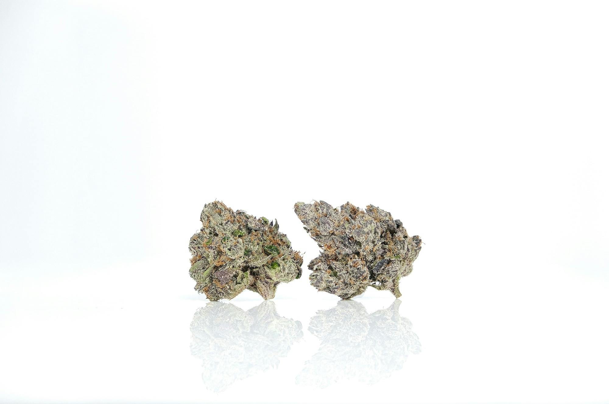 LAX PACKS - LAX PACKS BUBBLEGUM GELATO 1G INDOOR FLOWER PREROLL - 1