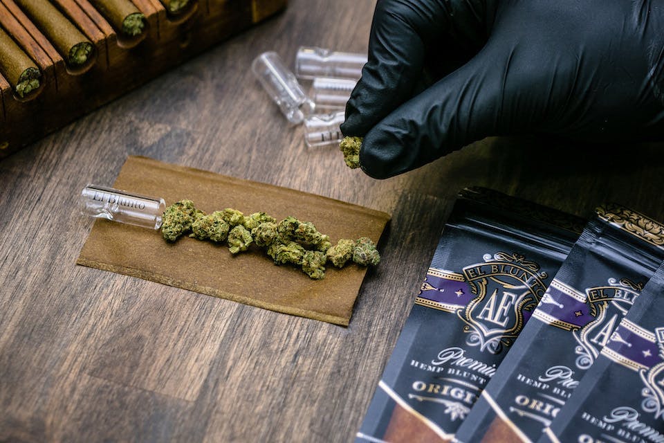 El Blunto by Albert Einstone's - El Bluntito - Fatty Arbuckle - 4 x .75G [Mini Blunt Pack] - 1