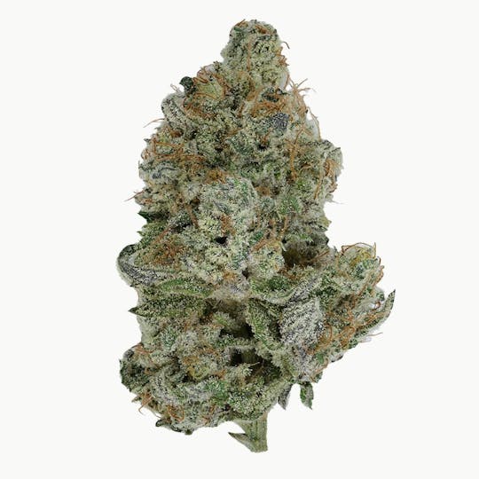 Green Truck - Flower - Grape Essence - 1