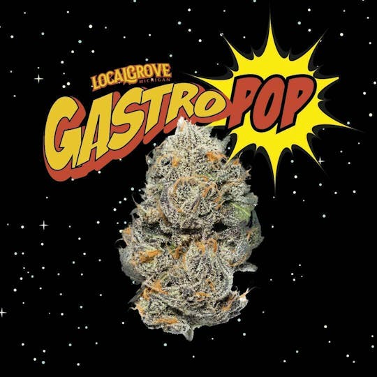 Localgrove - Local Grove Deli Style Flower | Gastro Pop - 1