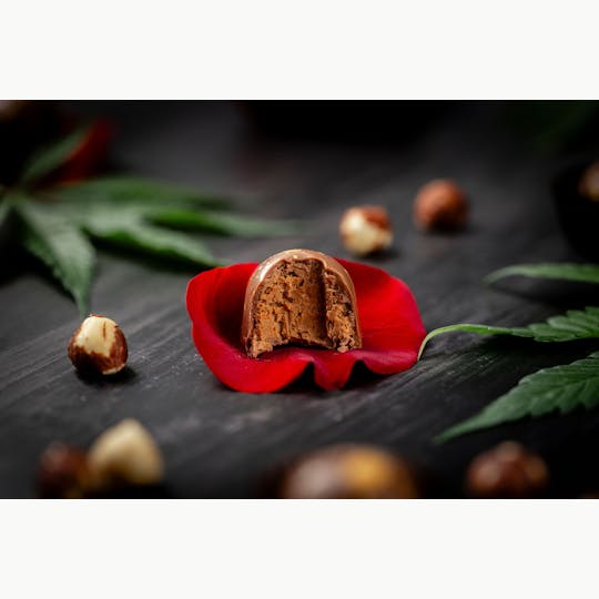 Rosie's Confections - Hazelnut Bonbon Collection - 1