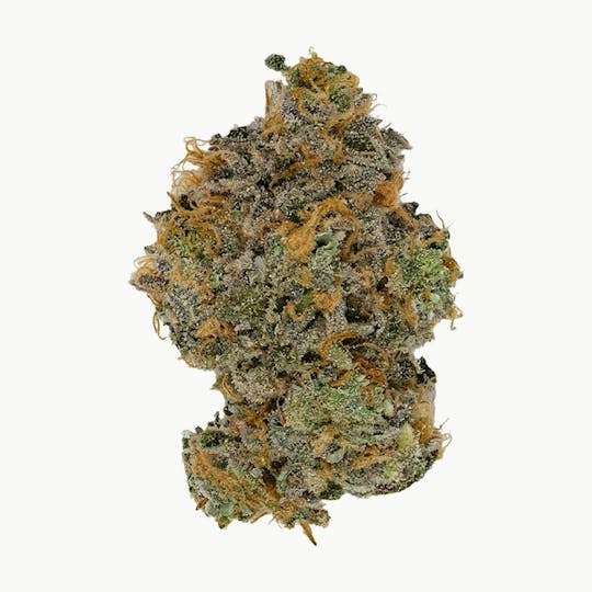 Green Truck - Truck Club Exclusive - Rainbow Sherbert - 28g - 1