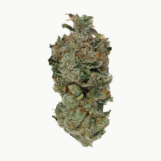 Green Truck - Flower - Sour Animal - 3.5g - 1