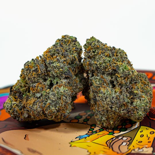 TEDS BUDZ - Big Buddha Gouda - 1