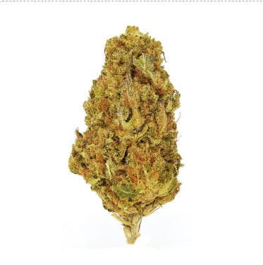 Smoakland - Smoakland Exotix | Grape Soda (H) | Big Buds | 14g - 1