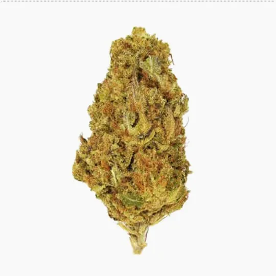 Smoakland - Smoakland Exotix | Grape Soda (H) | Big Buds | 14g - 1