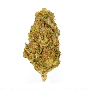 Smoakland - Smoakland Exotix | Grape Soda (I) | Big Buds | 14g - 1