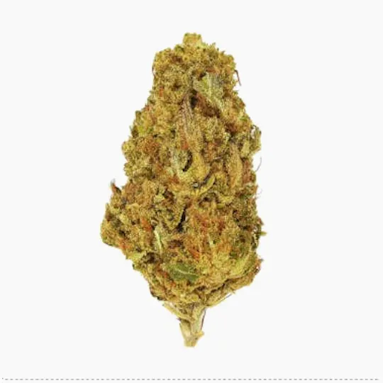 Smoakland - Smoakland Exotix | Grape Soda (I) | Big Buds | 14g - 1