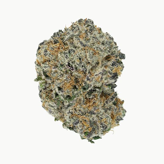 Green Truck - Flower - Vel Pina - 3.5g - 1