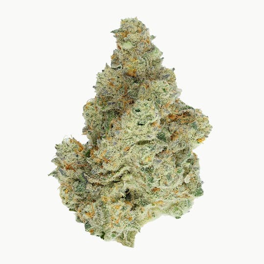 Green Truck - Truck Club Exclusive - Cap Junky - 28g - 1