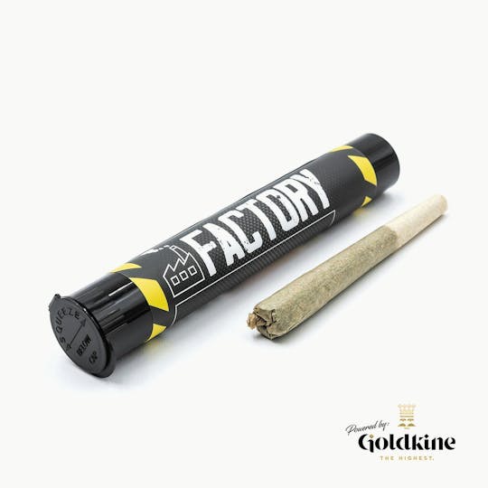 Goldkine - Factory 1G | Tropicanna Cookies - 1