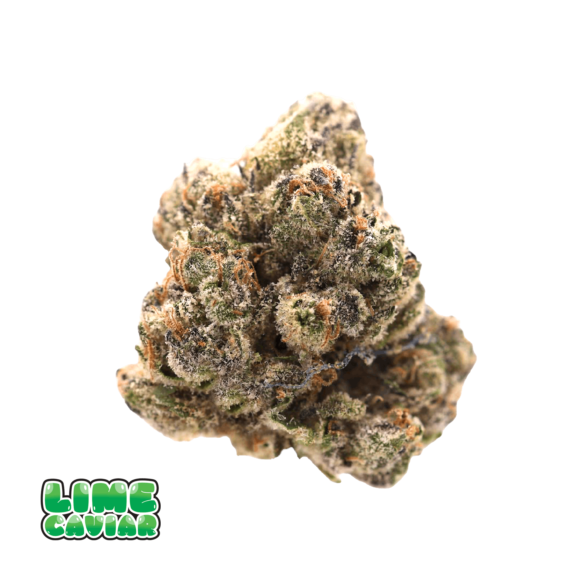 Traditional - Traditional - Lime Caviar 3.5g - 1