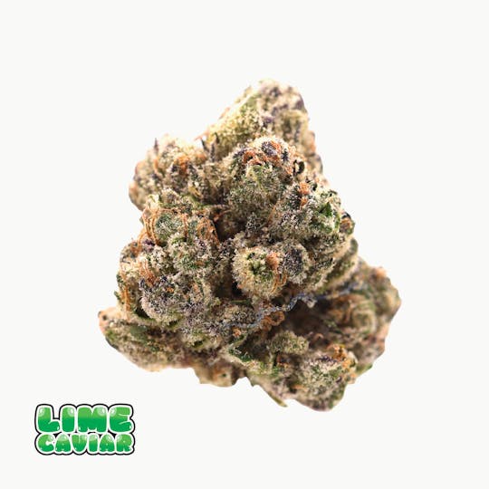 Traditional - Traditional - Lime Caviar 3.5g - 1