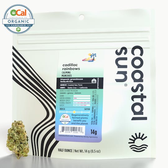 Coastal Sun - Cadillac Rainbows Greenhouse Flower 14g - 1
