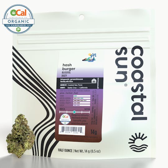 Coastal Sun - Hash Burger Greenhouse Flower 14g - 1