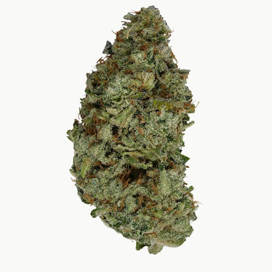 Green Truck - Flower - Lemon Slushie - 3.5g - 1