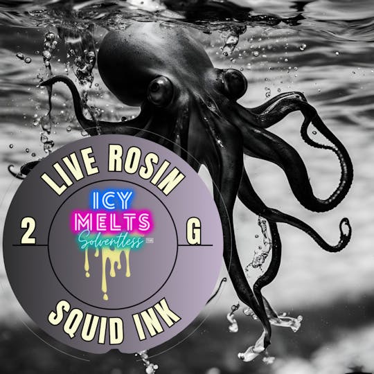 ICY MELTS SOLVENTLESS - Live Rosin - Squid Ink - 1