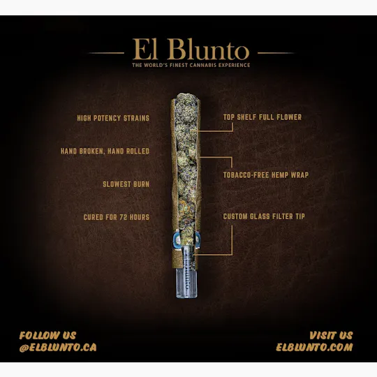El Blunto by Albert Einstone's - El Bluntito 4-Pack - White Widow - 4 x .85G - Hash Infused - 1
