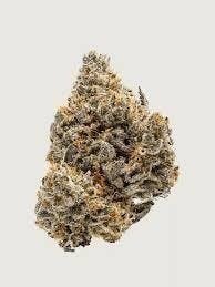 Cannafeen - Cannafeen | Purple Octane (31.9% THC) | Big Buds - 1