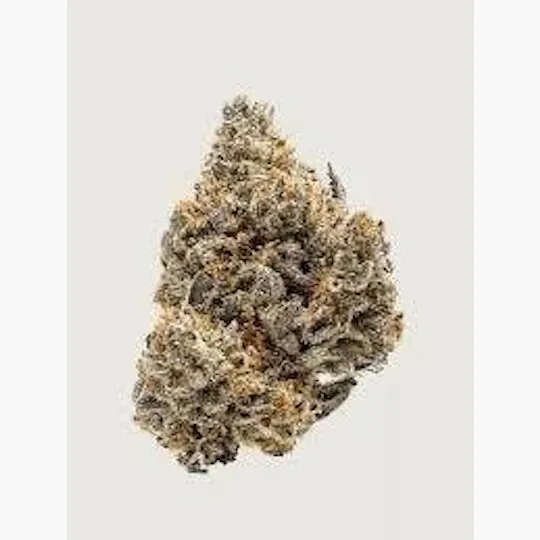 Cannafeen - Cannafeen | Purple Octane (31.9% THC) | Big Buds - 1