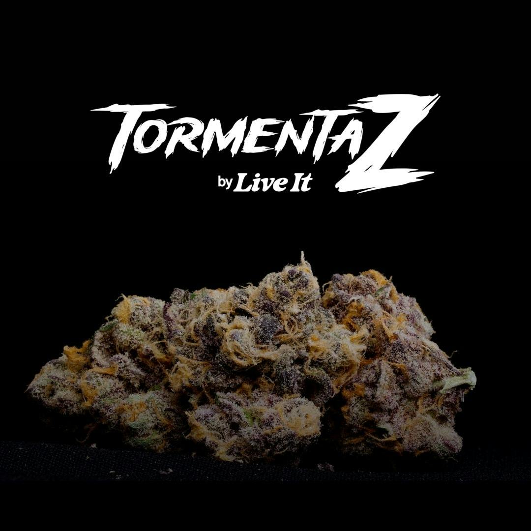 Live It - LIVE IT BUDS | TORMENTA Z - 1