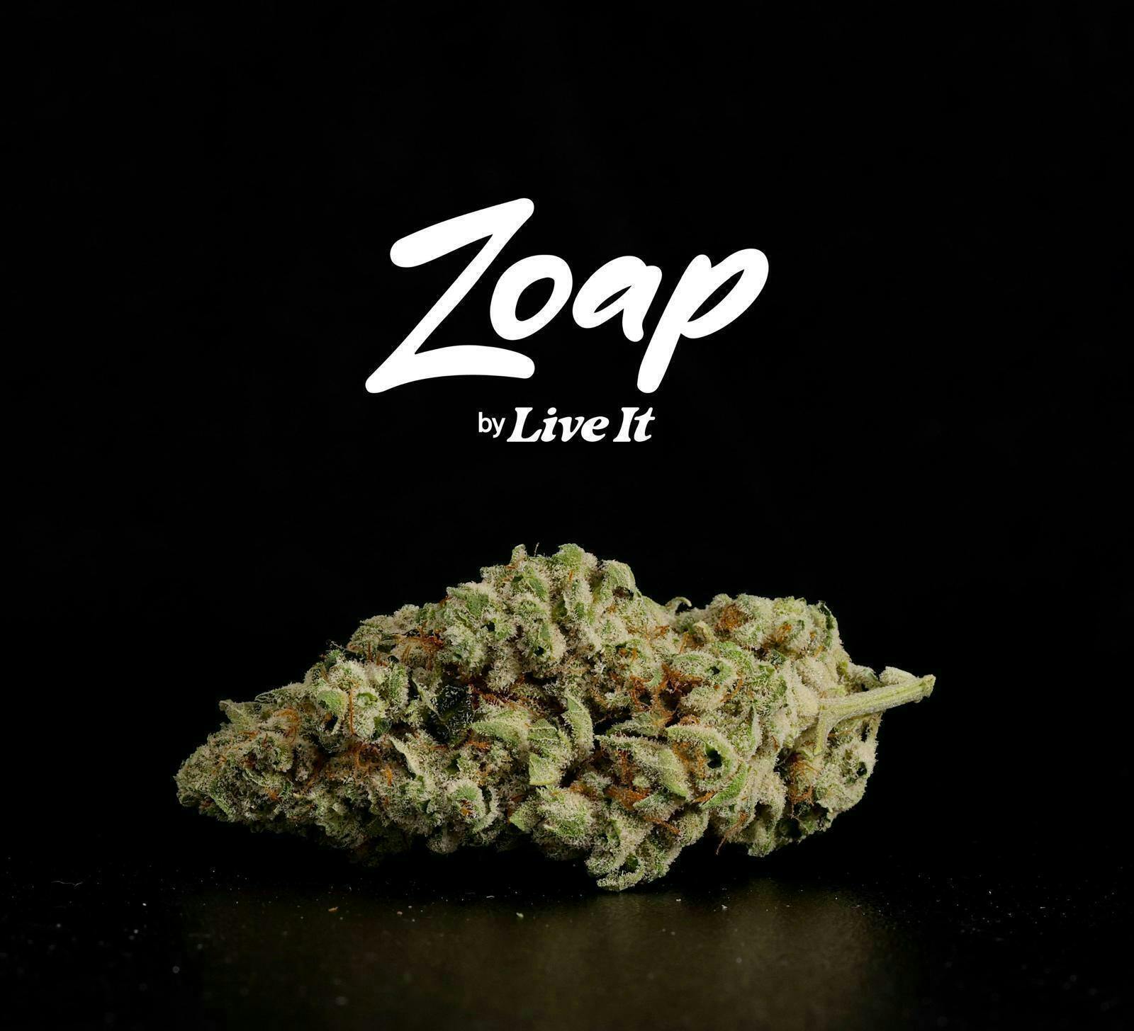 Live It - LIVE IT | ZOAP | BIG BUDS - 1