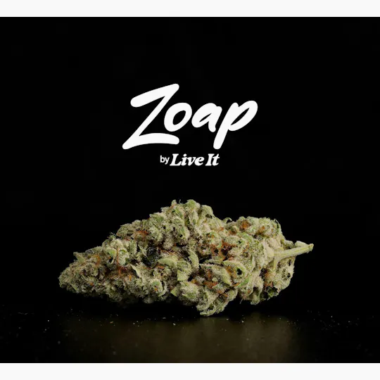 Live It - LIVE IT | ZOAP | BIG BUDS - 1