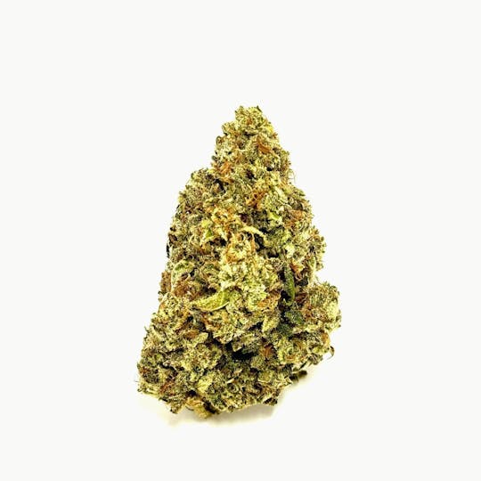 Zero Gravity Cannabis - Flower - Lemon Meringue 65/35 Sativa Dominant - 1